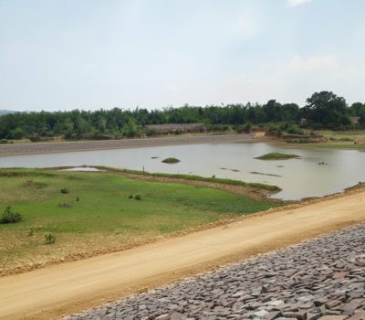 Oplus_16908288